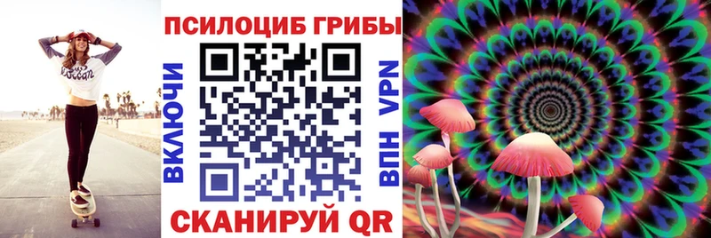 Псилоцибиновые грибы ЛСД  Агрыз 
